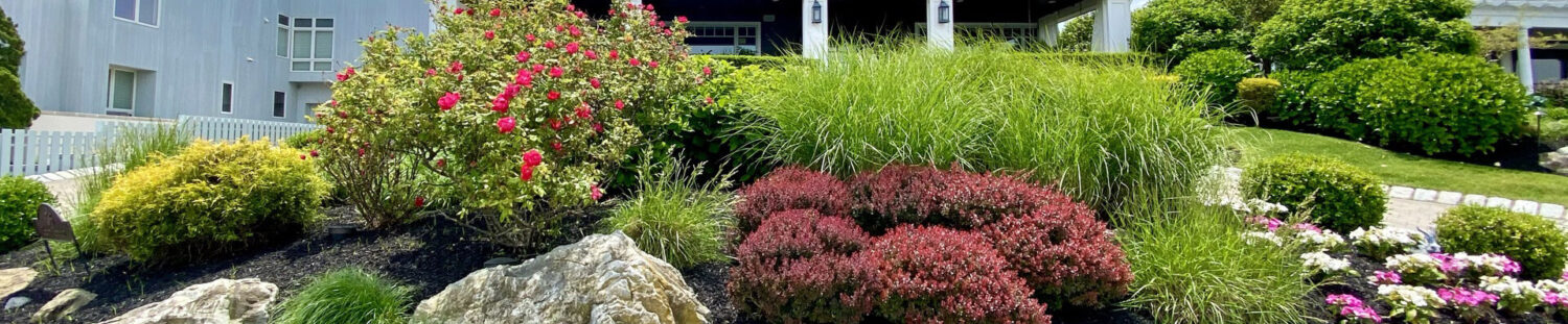 GN Visions Landscaping